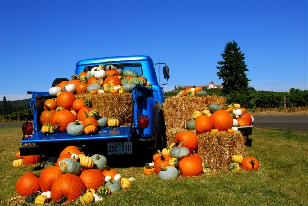 Creation of Pumpkin Load: Step 1